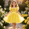 Cinderella Princess Dress for Girls, Children's Tulle Ball Gown, Beauty and the Beast Inspired Costume, Birthday Party Dress